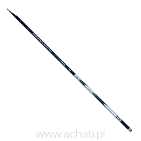 Wędka Lineaeffe Standard Master Pole 6m